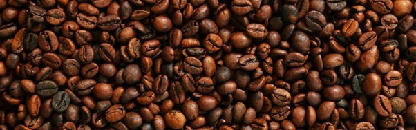 Ingrédient Ushuaia Fève de café